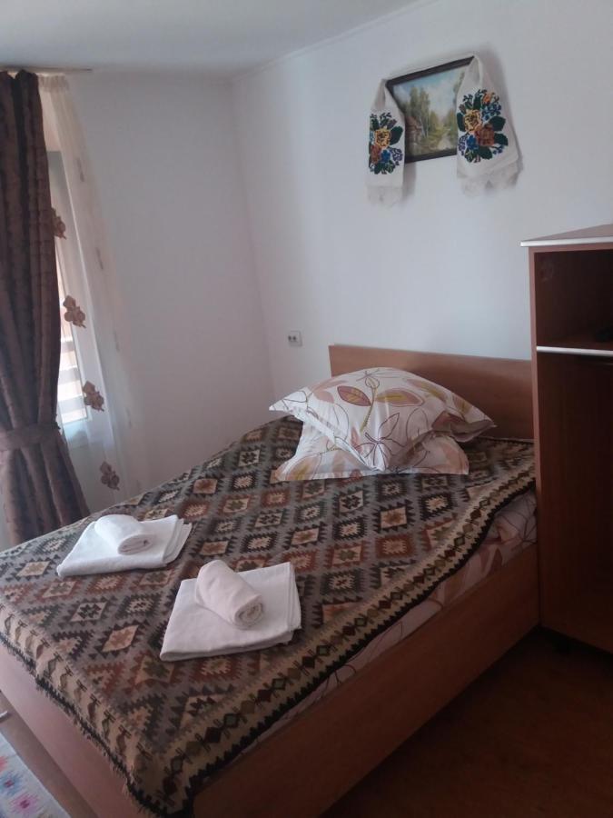 Pensiunea Montana Săpînţa エクステリア 写真