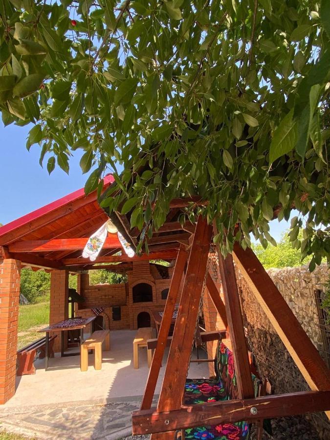Pensiunea Montana Săpînţa エクステリア 写真