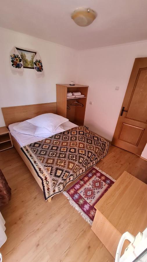 Pensiunea Montana Săpînţa エクステリア 写真