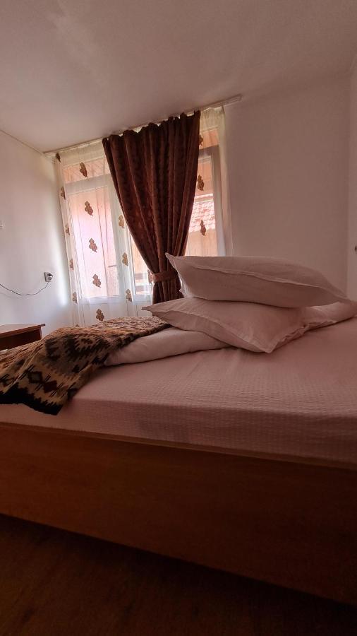 Pensiunea Montana Săpînţa エクステリア 写真