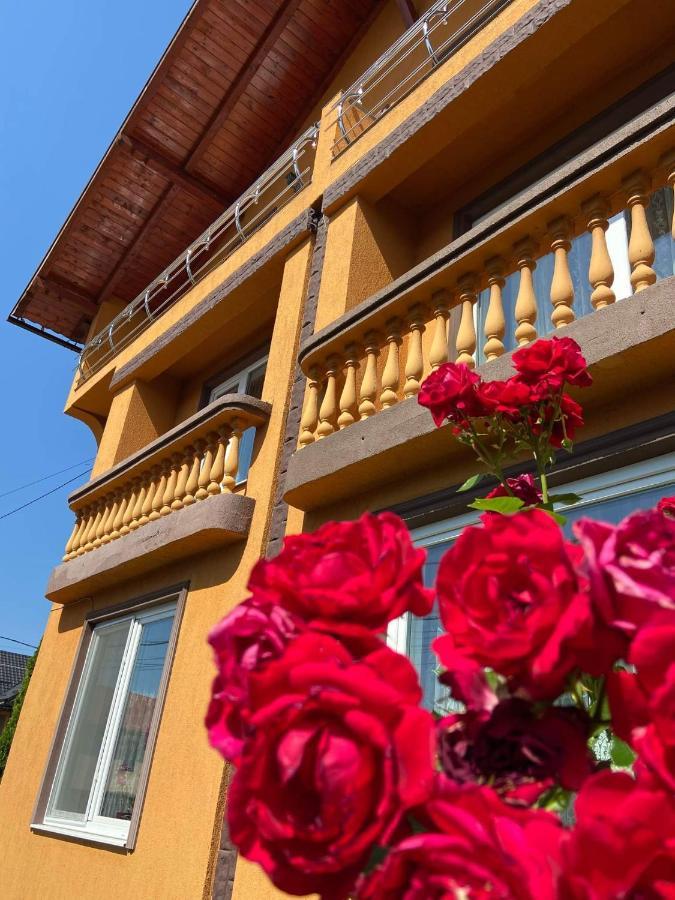Pensiunea Montana Săpînţa エクステリア 写真