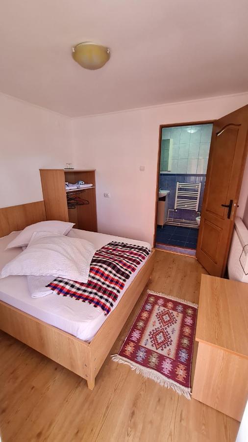 Pensiunea Montana Săpînţa エクステリア 写真