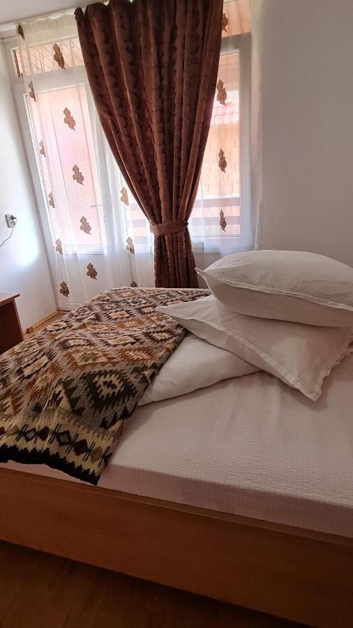 Pensiunea Montana Săpînţa エクステリア 写真