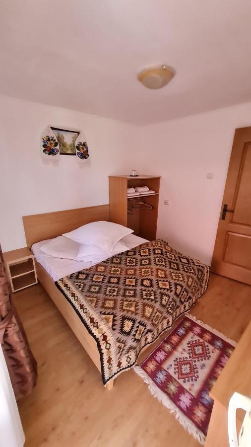 Pensiunea Montana Săpînţa エクステリア 写真